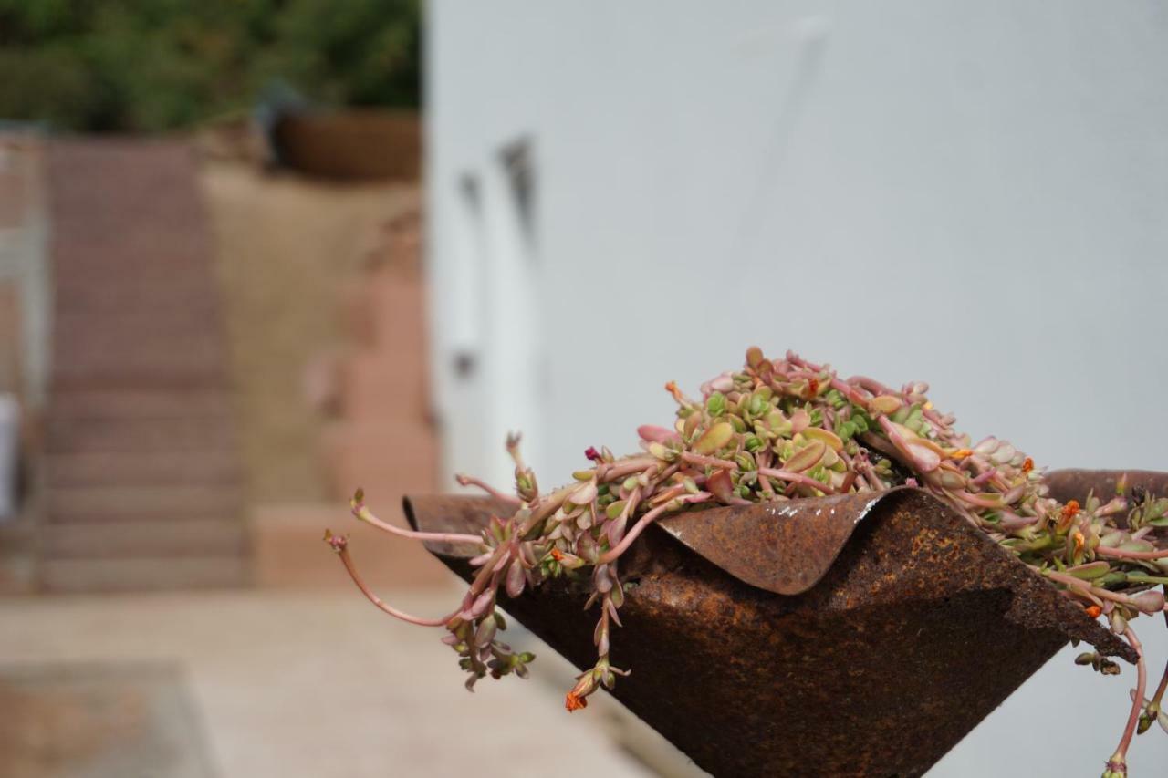 Honiggarten 达恩 外观 照片