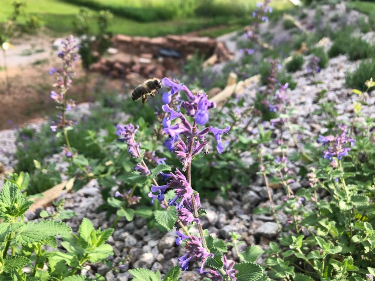 Honiggarten 达恩 外观 照片